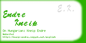 endre kneip business card